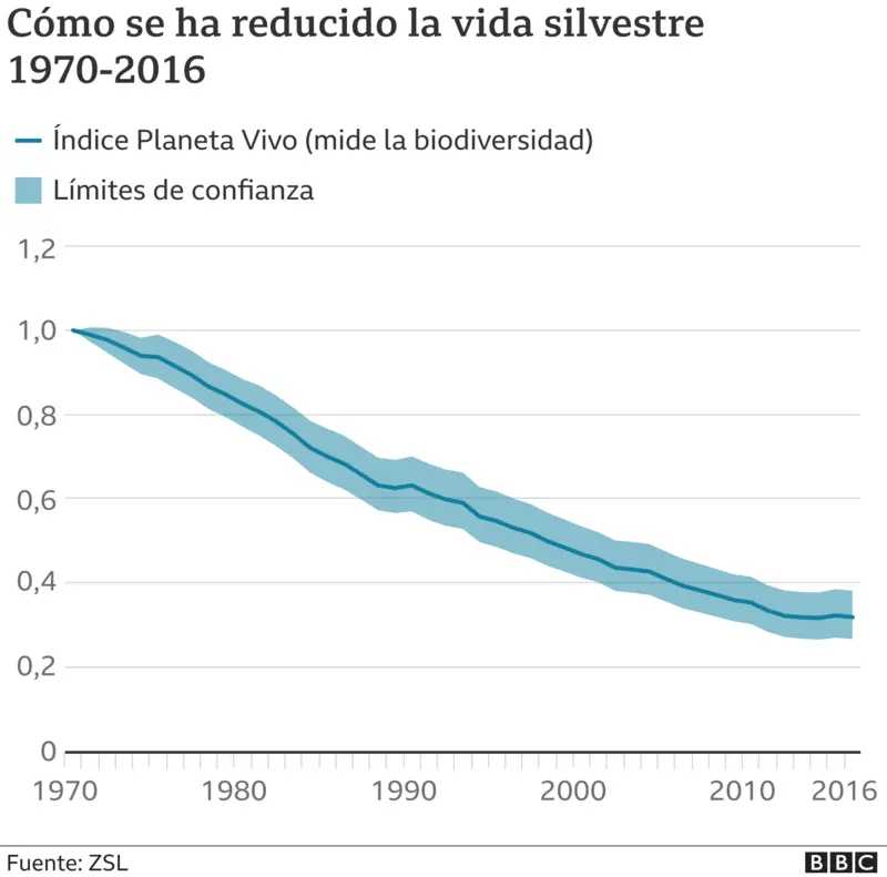 biodiversidad