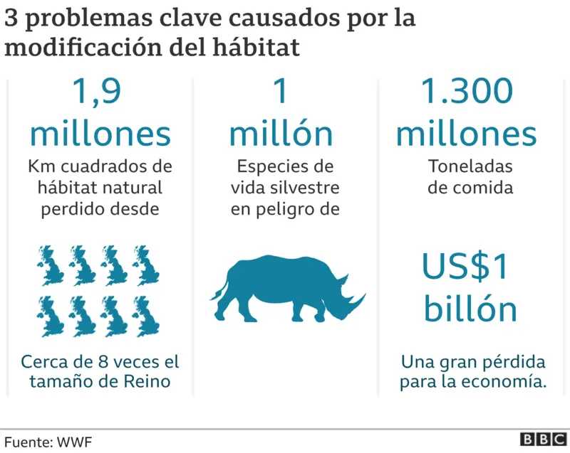 biodiversidad