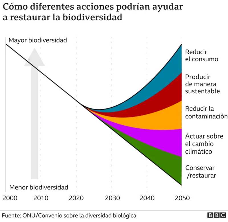 convenio sobre la diversidad biológica