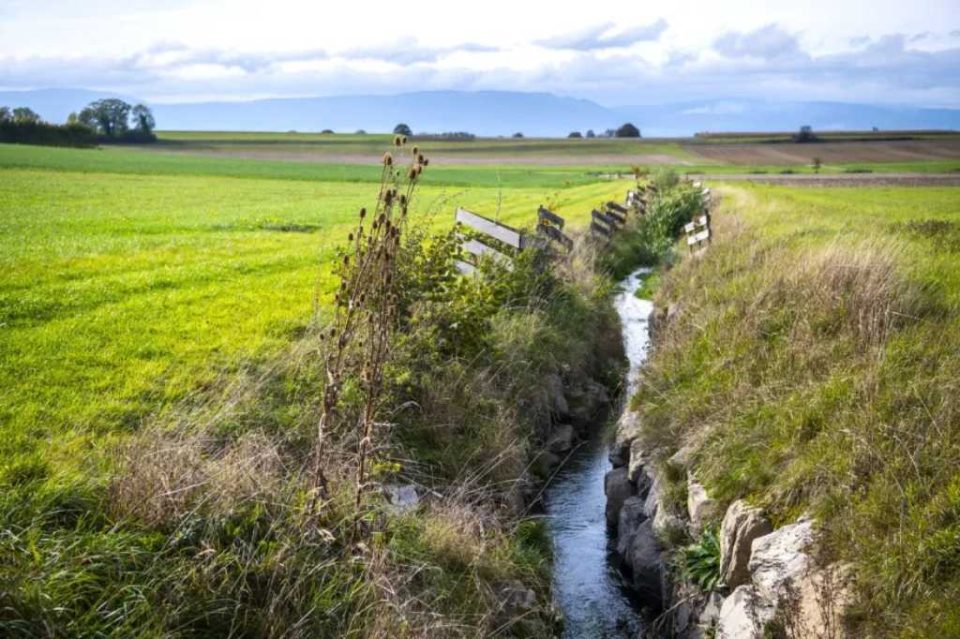 biodiversidad en Suiza